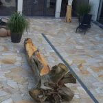 Außenanlagen BioSeehotel Zeulenroda