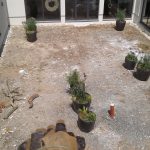 Außenanlagen BioSeehotel Zeulenroda