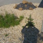 Umbau Außenanlagen AWO Rodewisch